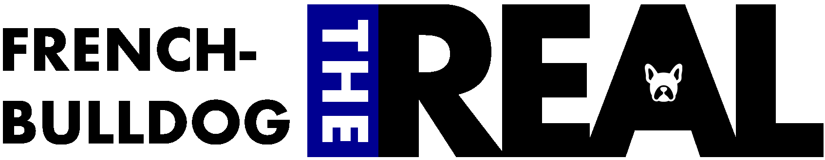 FRENCH BULLDOG THE REAL