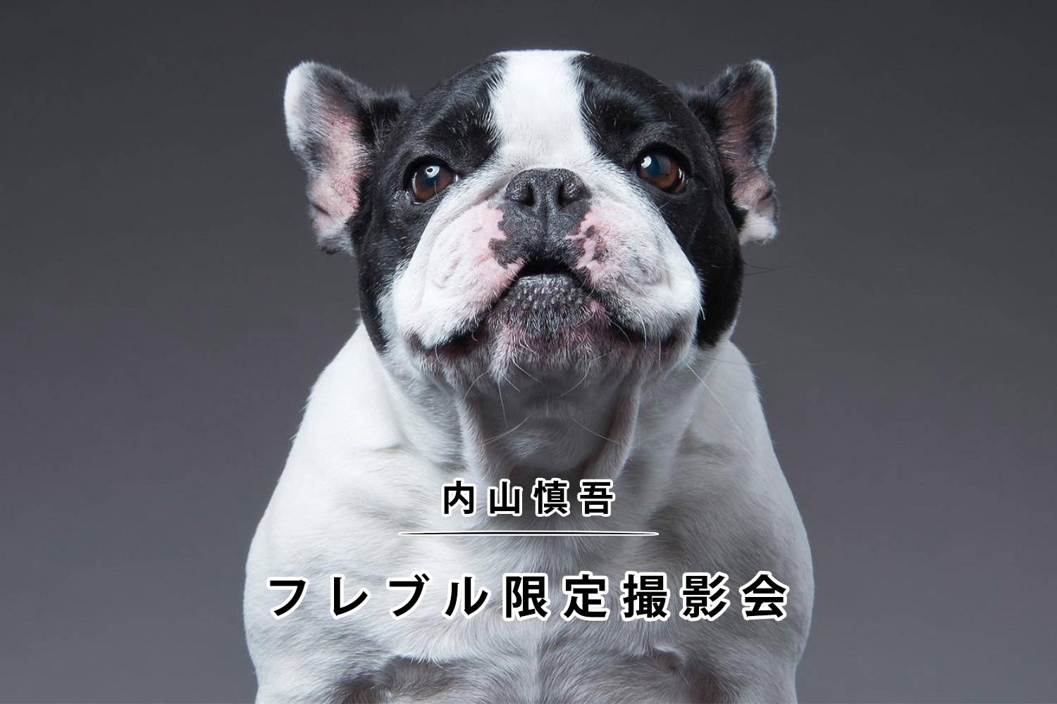 限定撮影会！】フォトグラファー内山慎吾が切りとる、愛犬の”一瞬